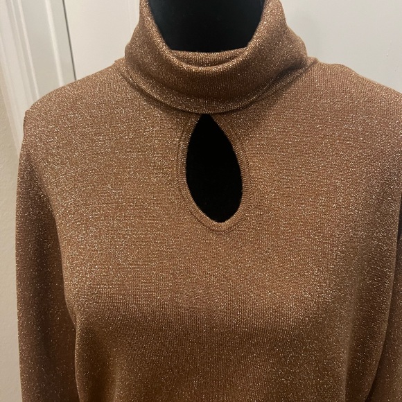 Lane Bryant turtleneck sweater, nwt. - Picture 2 of 6